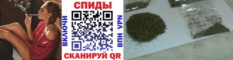 Бутират бутандиол  Бакал 