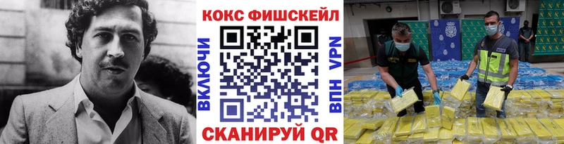 Cocaine Fish Scale  что такое   Бакал 