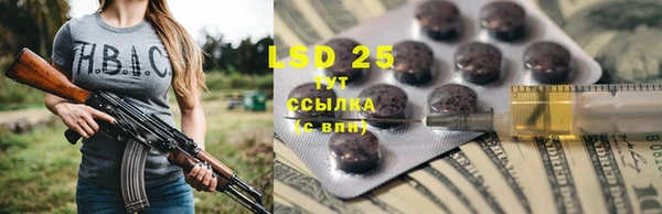 хмурый Алексеевка