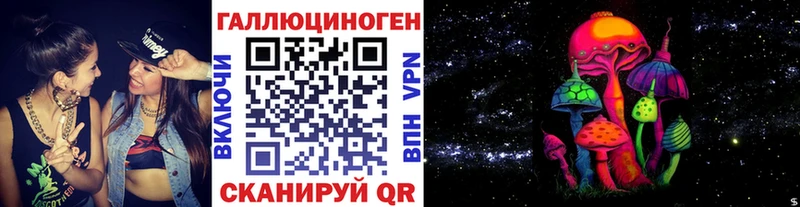 купить наркоту  Бакал  Галлюциногенные грибы Psilocybe 
